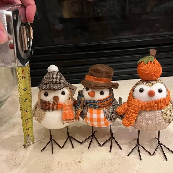 Set of 3 Walmart harvest fabric fall birds scarf glasses target inspired - Picture 6 of 7